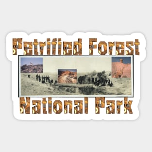 Petrified Forest Sticker